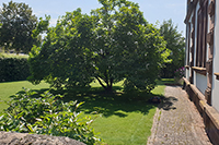 Pilates Studio Saar, Garten