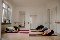 Pilates Studio Saa, Grupper